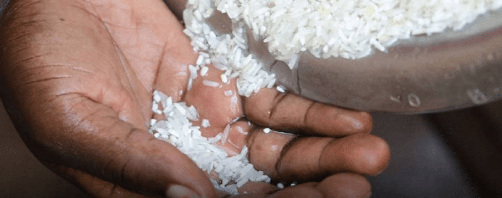 Repartimos 3.000Kg con nuestra campa&ntilde;a &laquo;ARROZ CON ALAS&raquo;
